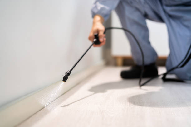 Certified termite inspector examining foundation in Union