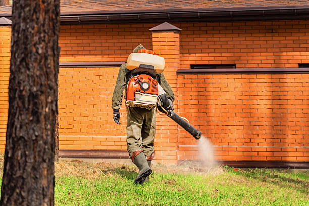 Top rated local Wasp Removal specialists in Union, MS